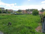 Terreno en Venta en Mos