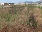 Terreno en Venta en Motril