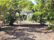 Terreno en Venta en Motril