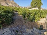 Terreno en Venta en Ojós