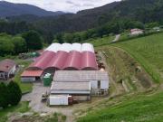 Terreno en Venta en Mungia