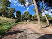 Terreno en Venta en Murcia