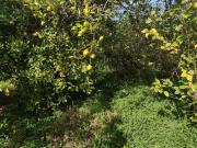 Terreno en Venta en Murcia