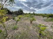 Terreno en Venta en Murcia