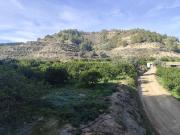 Terreno en Venta en Murcia