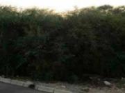 Terreno en Venta en Murcia