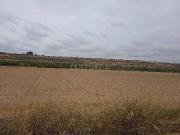 Terreno en Venta en Murcia