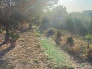 Terreno en Venta en Murcia