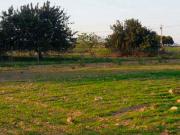 Terreno en venta en Murcia