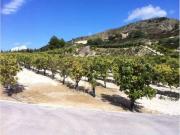 Terreno en Venta en Murcia