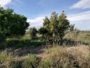 Terreno en Venta en Murcia