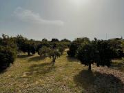 Terreno en Venta en Murcia