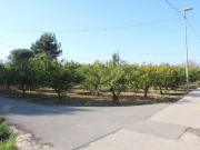 Terreno en Venta en Murcia