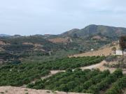 Terreno en venta en Murcia, Cañadas de San Pedro