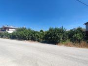 Terreno en venta en Murcia, El Raal