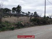 Terreno en Venta en Náquera