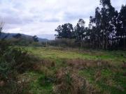Terreno en Venta en Narón