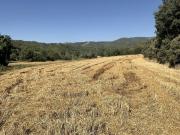 Terreno en Venta en Naval