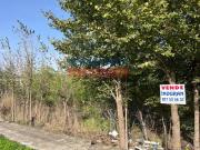 Terreno en Venta en Navalmoral de la Mata