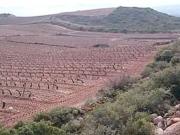 Terreno en Venta en Navarrete