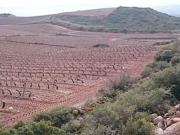 Terreno en venta en Navarrete