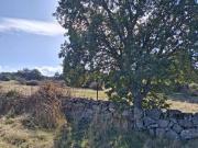 Terreno en Venta en Navas de San Antonio