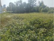 Terreno en Venta en Neda
