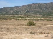 Terreno en Venta en Novelda