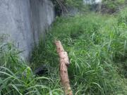 Terreno en Venta en Nuevo San Miguel