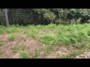 Terreno en Venta en O Porriño