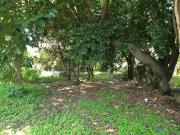 Terreno en venta en Ocotepec, Cuernavaca, Morelos