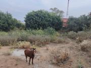 Terreno en venta en Ocotepec Morelos, con potencial para...