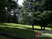 TERRENO EN VENTA EN OCOYOACAC