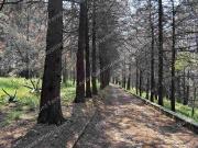 Terreno en venta en Ocoyoacac