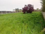 Terreno en Venta en Oleiros