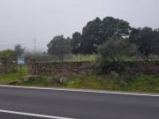 Terreno en Venta en Oliva de Plasencia