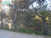 Terreno en Venta en Olivella