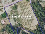 Terreno en Venta en Ontinyent Terreno en Venta en Ontinyent