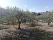 Terreno en venta en Ontinyent, Ontinyent