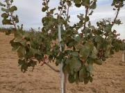 Terreno en Venta en Orgaz