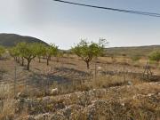 Terreno en Venta en Orihuela
