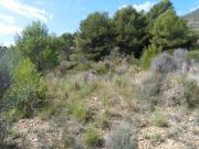 Terreno en Venta en Oropesa del Mar Orpesa