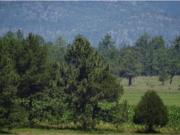 Terreno en venta en Otinapa, Durango