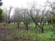 Terreno en Venta en Ourense