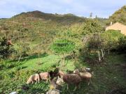 Terreno en Venta en Ourense