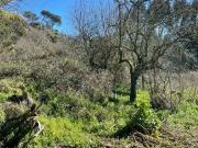 Terreno en Venta en Ourense