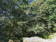 Terreno en Venta en Ourense