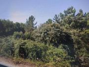 Terreno en Venta en Ourense