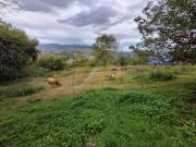 Terreno en Venta en Oviedo