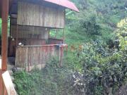 Terreno en venta en Oxapampa a S/2,400,000